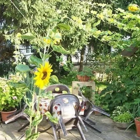 Appartement In Mit Garten Und Grill